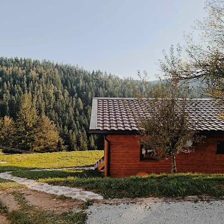 Tiny House Semesterbostad Ziri