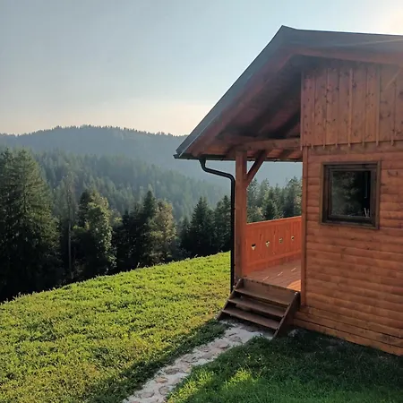 Tiny House Ziri